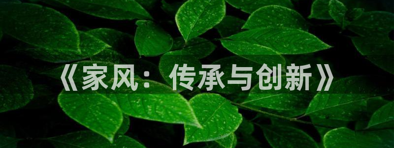 西瓜网在线免费观看