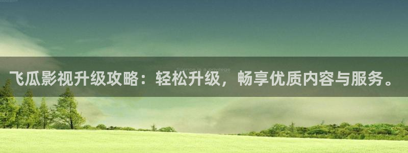 西瓜里