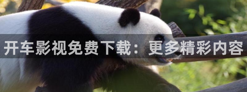 西瓜许昌