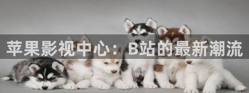 密爱西瓜电影