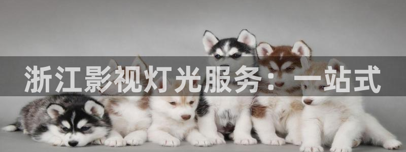 西瓜视频下