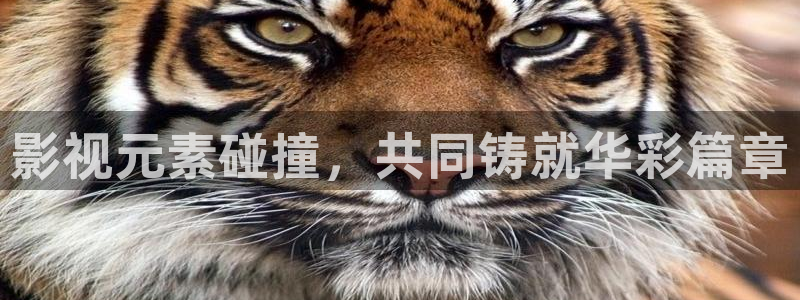 痕迹电视剧西瓜影院免费观看